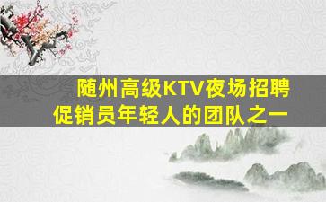随州高级KTV夜场招聘促销员年轻人的团队之一